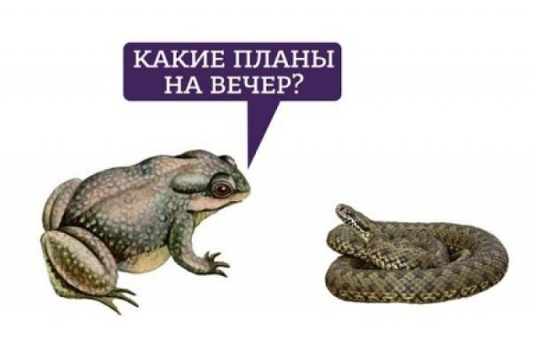 Жаба и гадюка